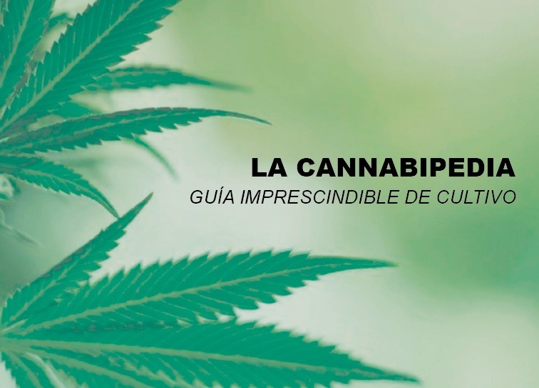 la-cannabipedia-guia-imprescindible-cultivo-marihuana-cannabis-1
