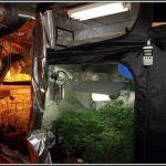 Elementos de cultivo de marihuana de interior, espacios