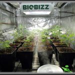 Maceta Air Max Pot para el cultivo de plantas de marihuana