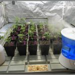 Humidificador para cultivo indoor de marihuana VDL 8 litros
