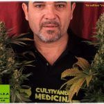 Según la justicia canadiense los pacientes pueden continuar cultivando su propio cannabis