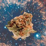 Marihuana en el espacio exterior: Experimentos de Cannabis en el espacio