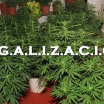 Argentina, marchas virtuales por la legalización de la marihuana