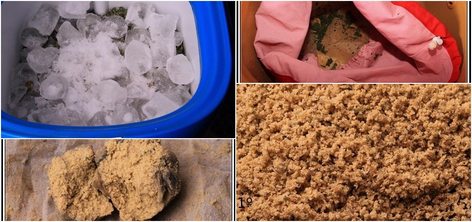 ¿Cómo hacer ice o lator? Claves para aprender cómo extraer resina del cultivo de marihuana.