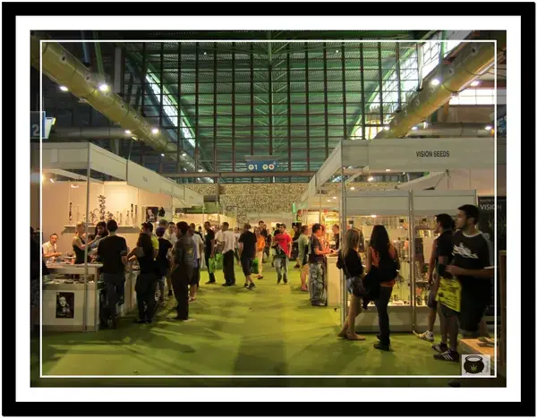 Spannabis Sur 2013