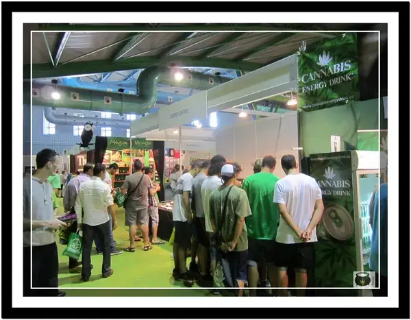 spannabis-sur-2013