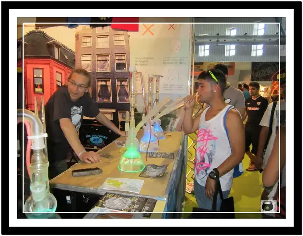 spannabis-sur-2013