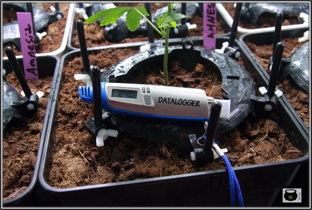 Datalogger temperatura y humedad USB del cultivo de marihuana indoor