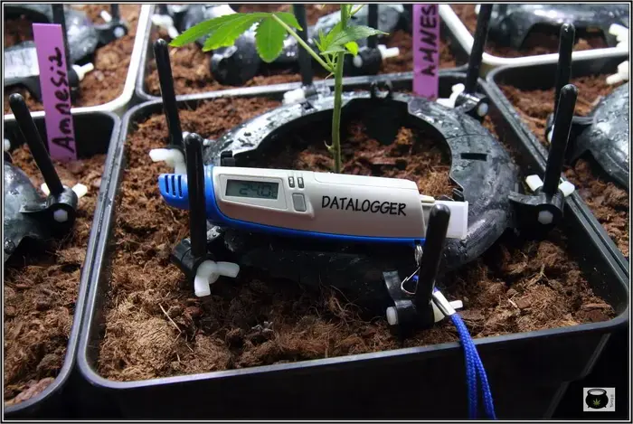 instrumentos de medida para cultivar marihuana