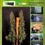 La Cannabipedia: presentación 20-3-2015 en Spannabis Barcelona (stand 64)