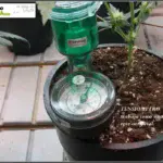 Cuaderno de bitácora de toni13. Cultivando con una raíz «artificial»