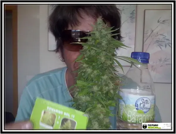 SOMANGO DEL 13