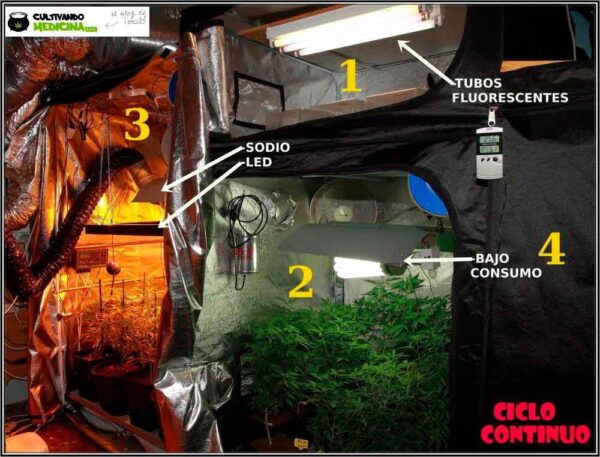 ciclo continuo indoor