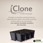 La mejor bandeja semillero para esquejes de marihuana: iClone – Análisis