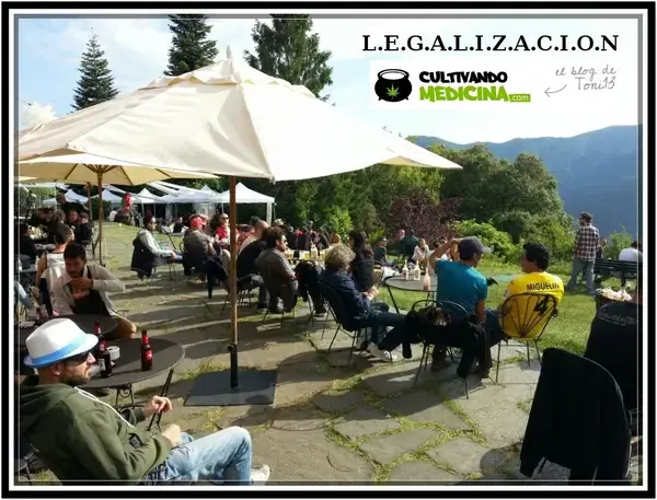 BiocannabisCup-2015-toni13-13-vistas
