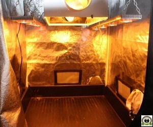 armario de interior para el cultivo de marihuana pequeño sodio LED 250W
