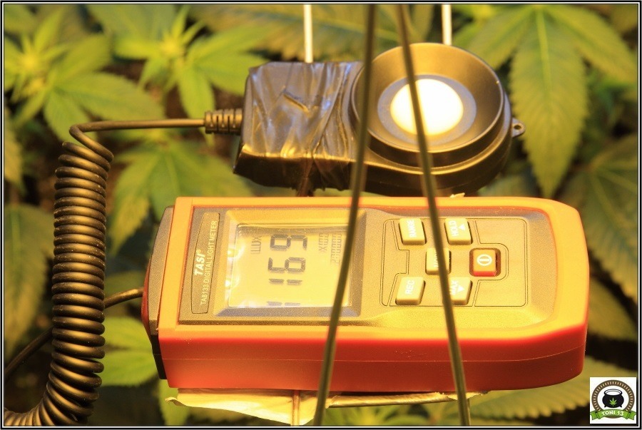 luxómetro cultivo marihuana