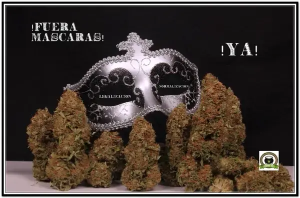 Guía rápida de cultivo marihuana