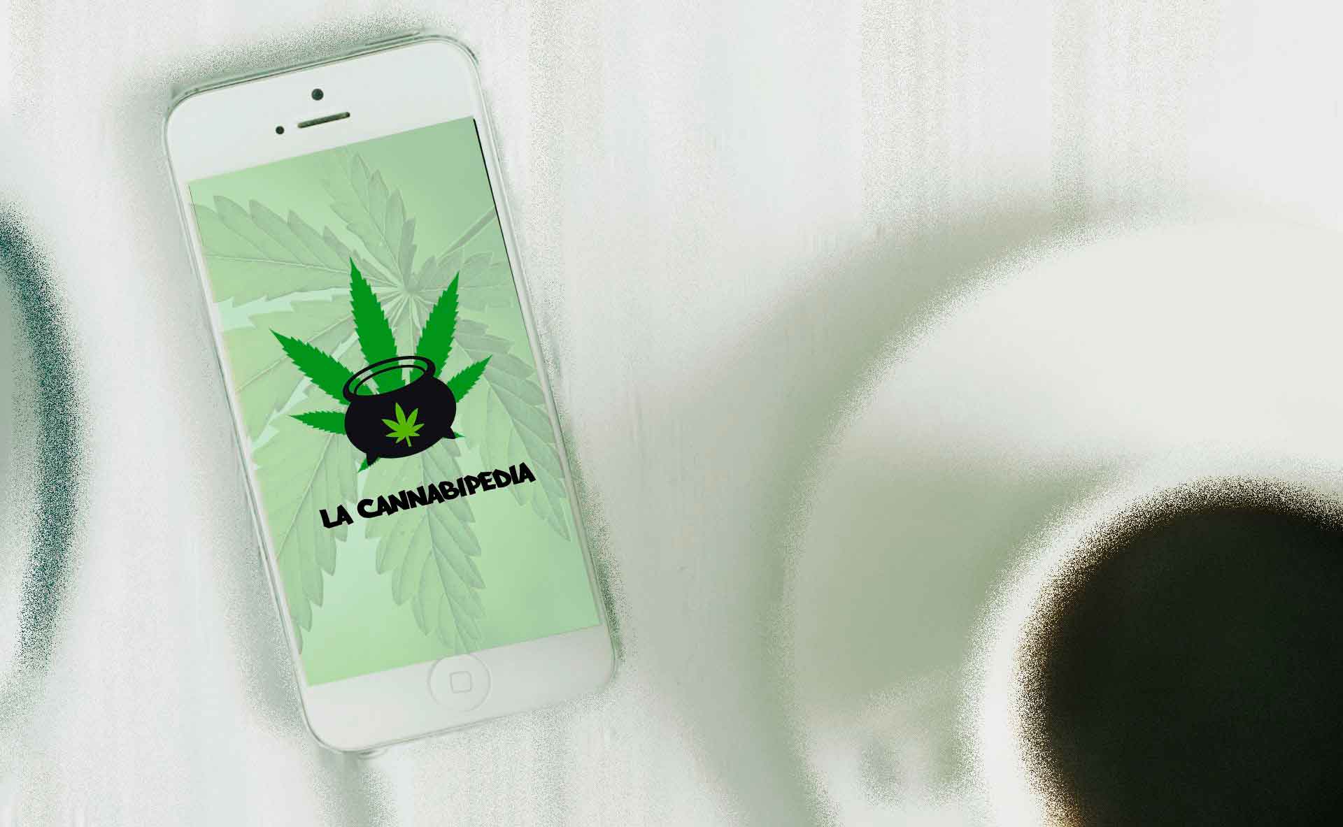 App Cannabipedia. Guía cultivo marihuana y cannabis