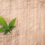 El cannabis frena la esclerosis múltiple