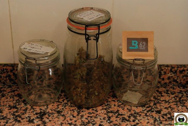 Productos para cultivar marihuana