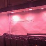 Led Kappa Solux para el cultivo de marihuana de interior