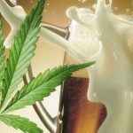 Cómo elaborar cerveza con marihuana o cannabis casera