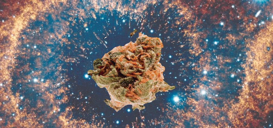 Marihuana en el espacio exterior. Cannabis en el espacio.