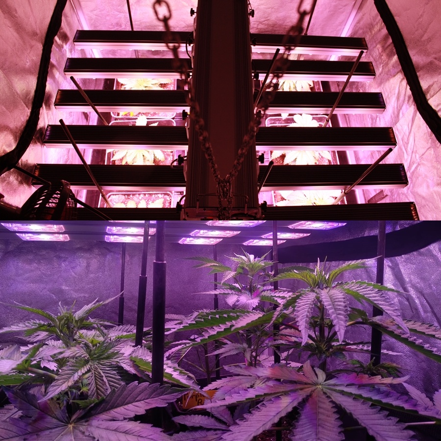 cultivo marihuana extremo verano interior 2 pro-xl organic