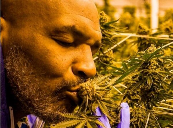 cannabis mike tyson