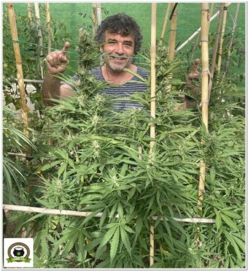 Agua de Riego Cannabis