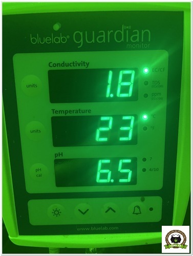 monitor bluelab guardian-1