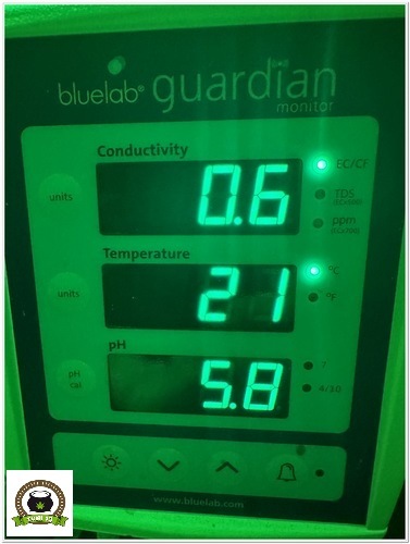 monitor bluelab guardian