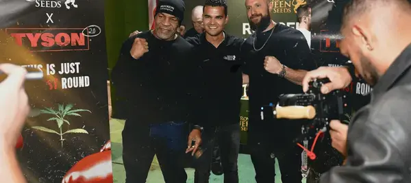Mike tyson royal queen seeds
