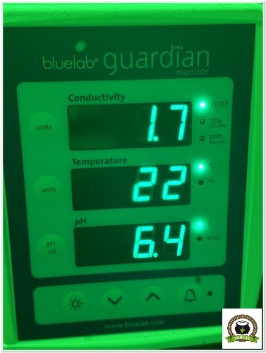 monitor bluelab guardian