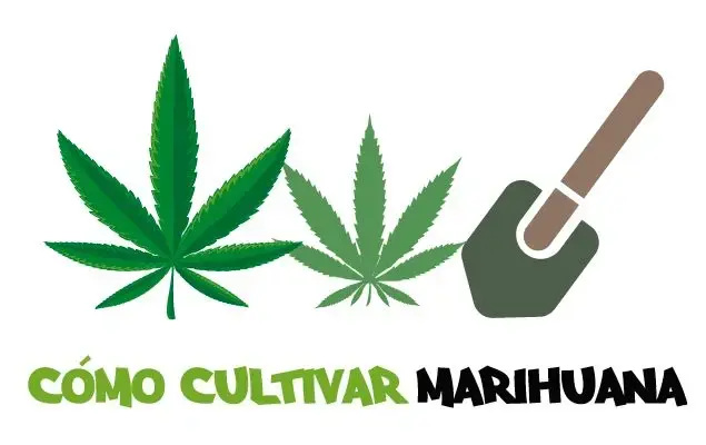 Manual de Cultivo de Marihuana