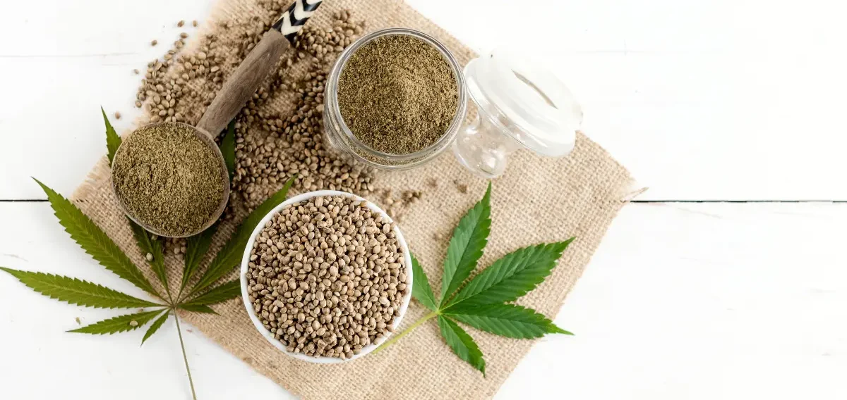 Semillas Feminizadas Sweet Seeds