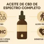 Producción de aceite de CBD casero de espectro completo: protocolos, seguridad y conservación