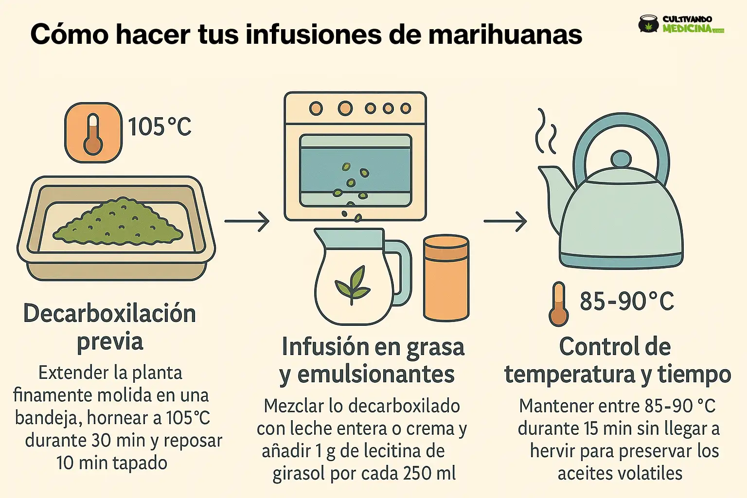 Infusiones de marihuanas beneficios