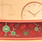 ¿Cuánto dura la marihuana en la sangre?