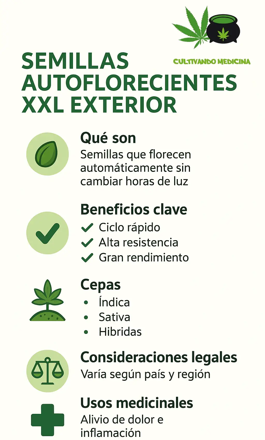 Semillas autoflorecientes XXL Exterior