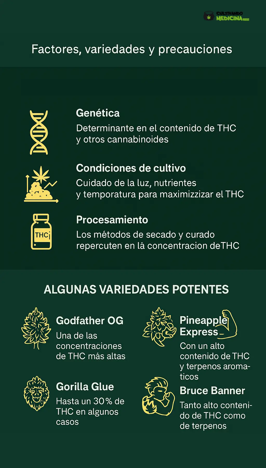Marihuana más potente (Infografía)