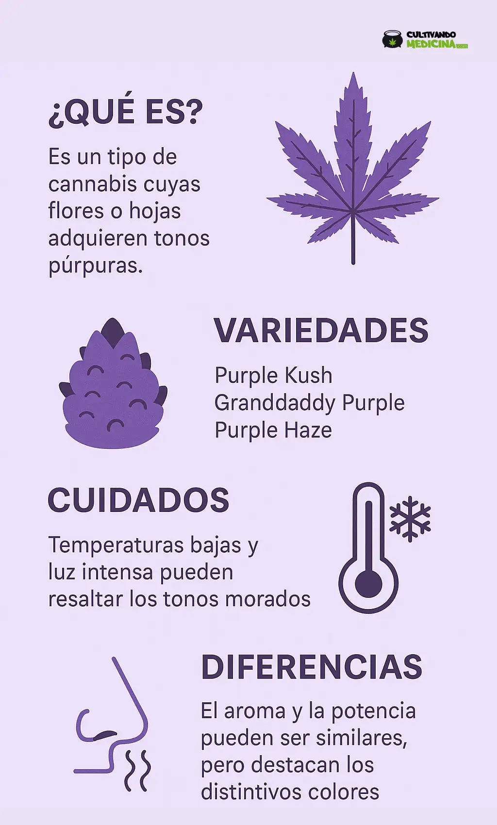 Marihuana morada