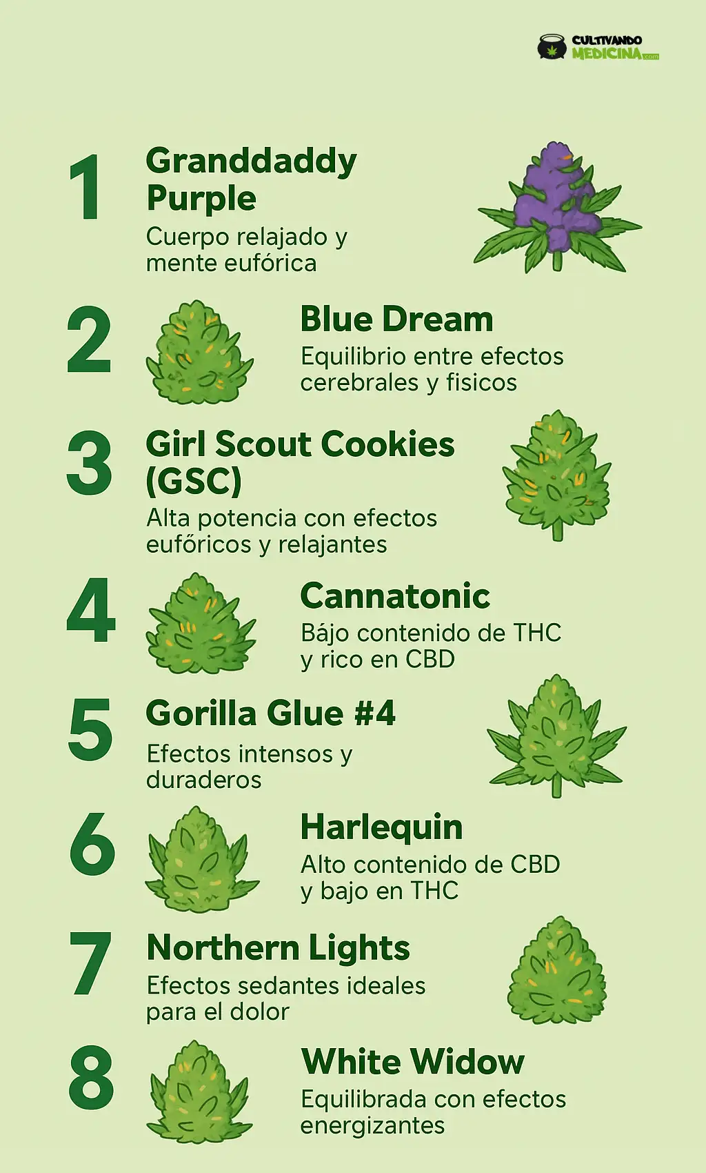 ranking de las mejores marihuanas del mundo infografia