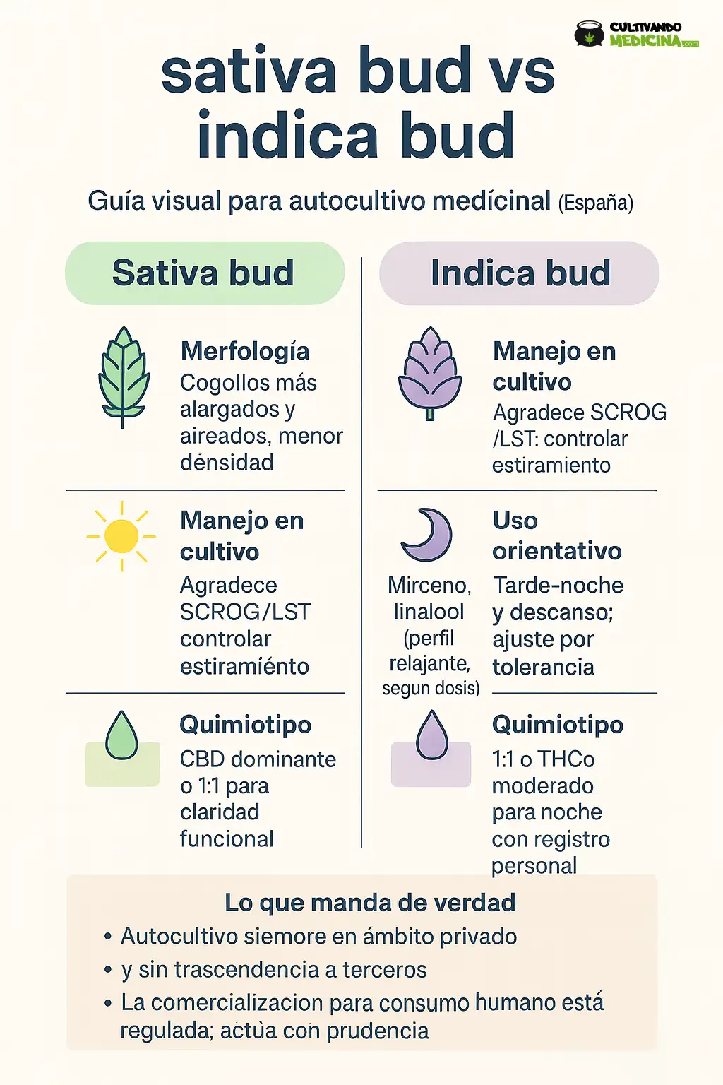 Sativa bud vs Indica bud